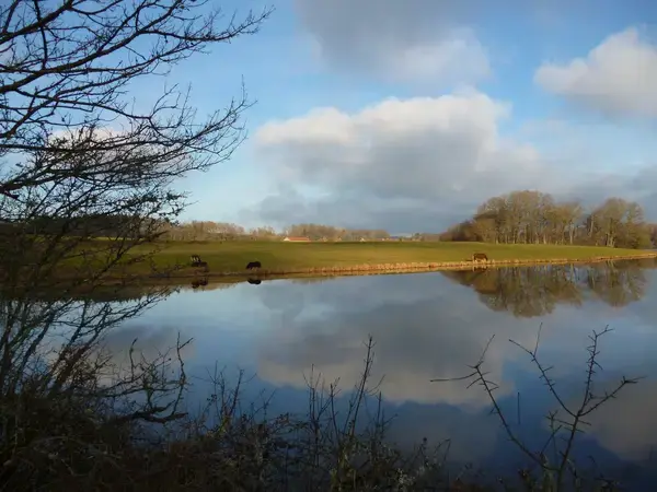 Monte Escalier 71 Entreprise monte escalier Saint-Pierre-de-Varennes